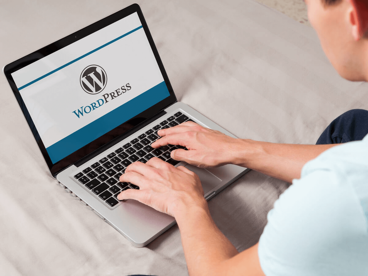 wordpress开发者推荐